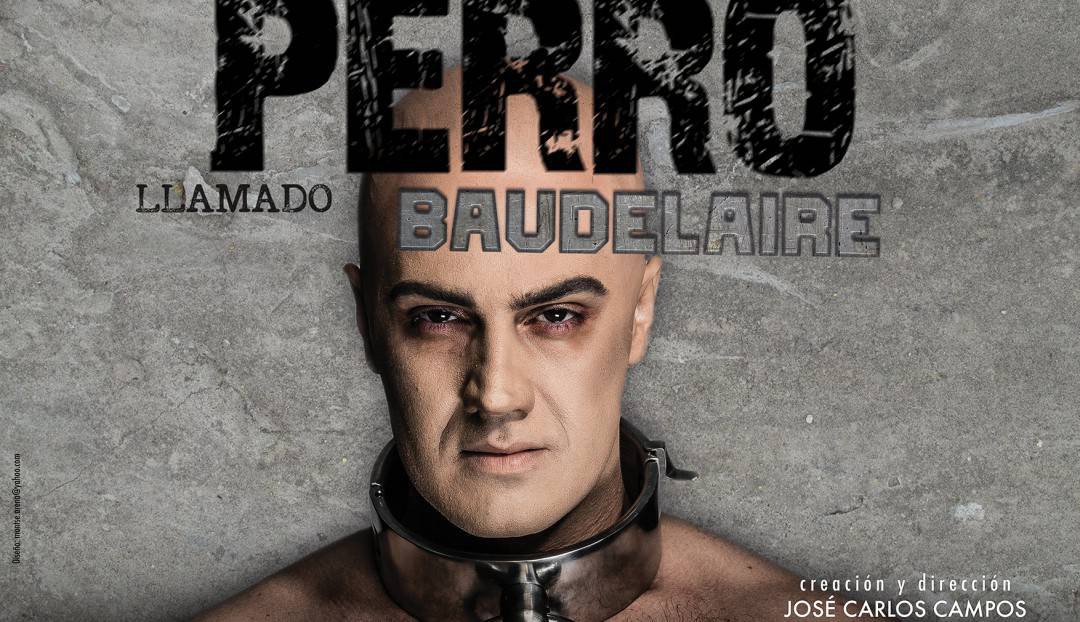 Imagen noticia - Un perro llamado Baudelaire, homenaje al poeta maldito