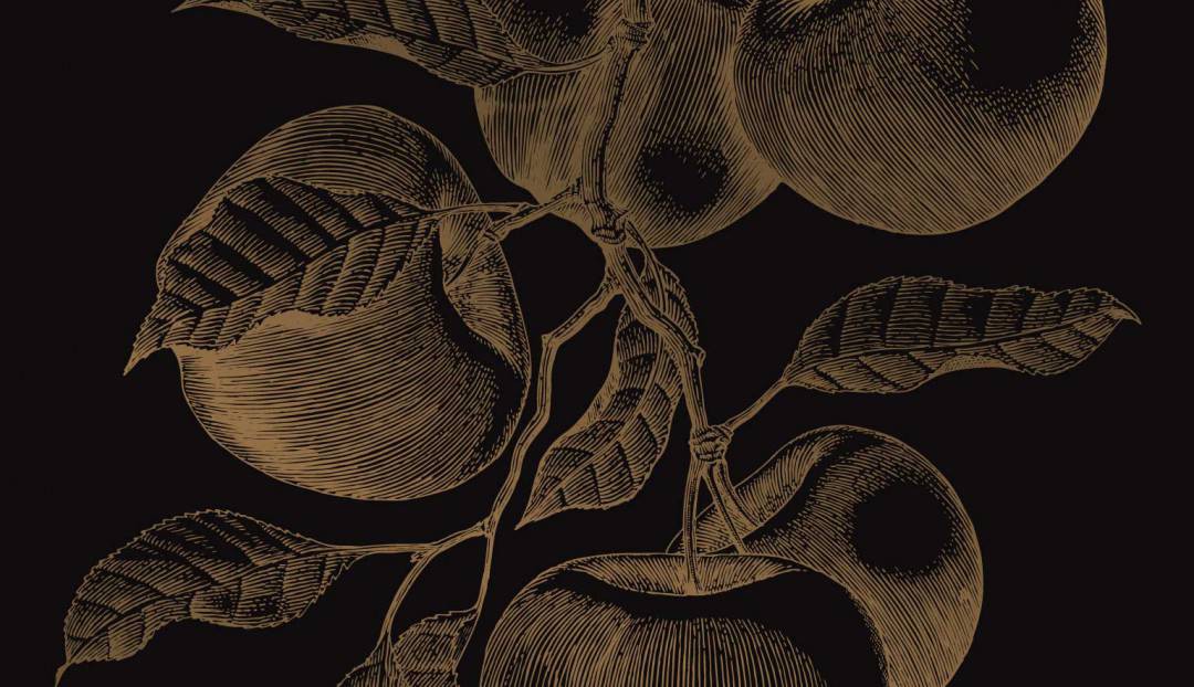 Imagen noticia - Ciclo Antiqva: concierto del ensemble Las Hespérides