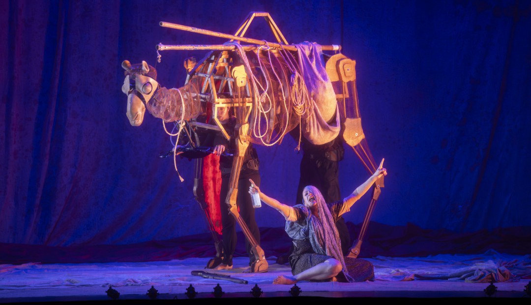 Imagen noticia - El montaje escénico ‘SÁHARA. La barca del desierto’ preseleccionado con seis candidaturas a los Premios Max de las Artes Escénicas 2026