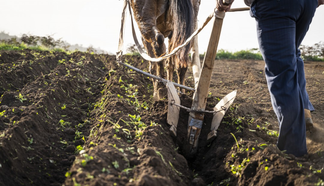 Imagen noticia - Estreno de ‘Surco’, el nuevo espectáculo de Domingo ‘El Colorao’, en el Teatro Pérez Galdós